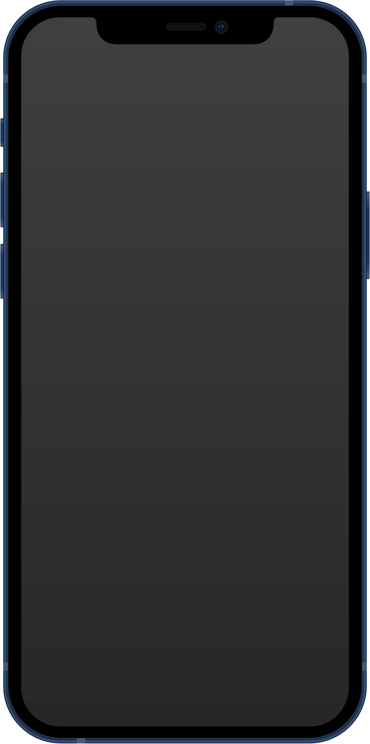 <span>iPhone 12</span>
