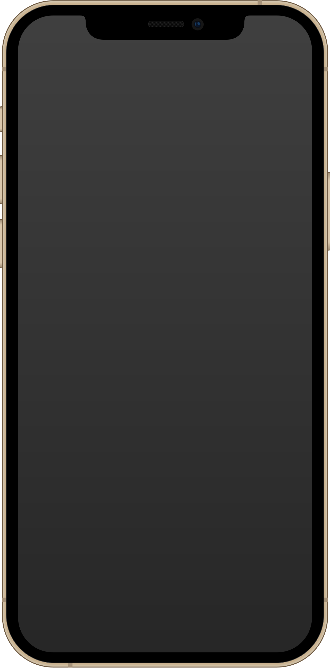 <span>iPhone 12 Pro</span>
