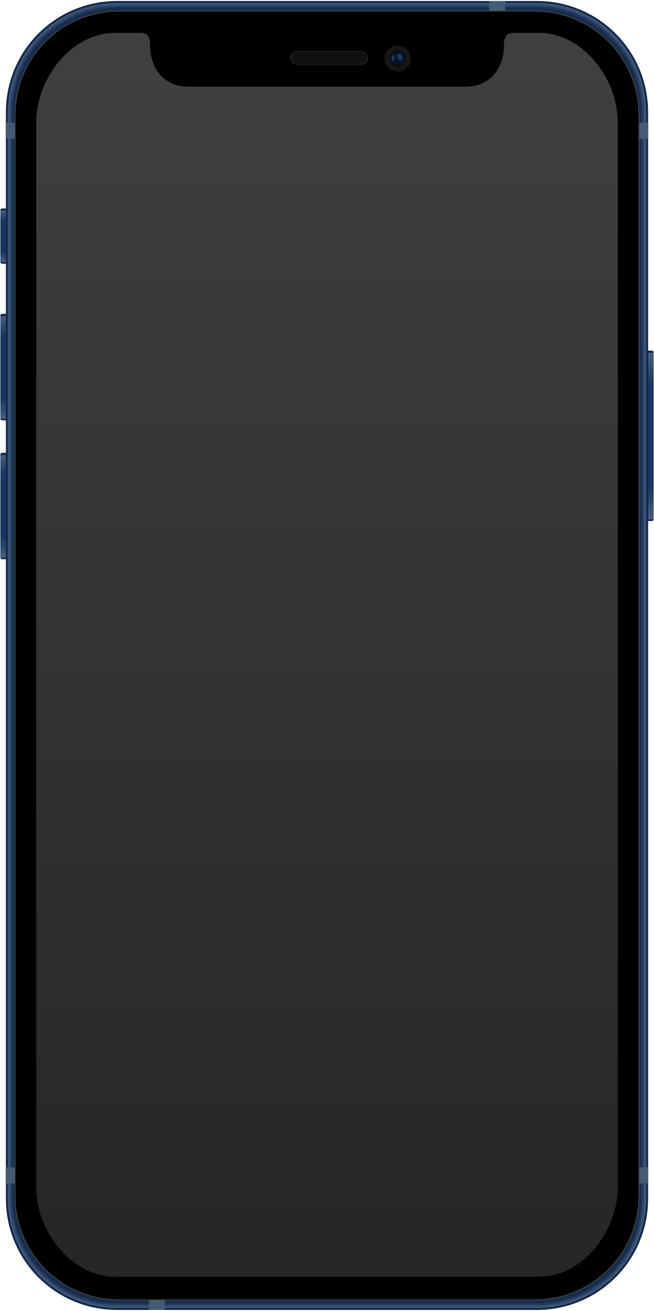 <span>iPhone 12 mini</span>
