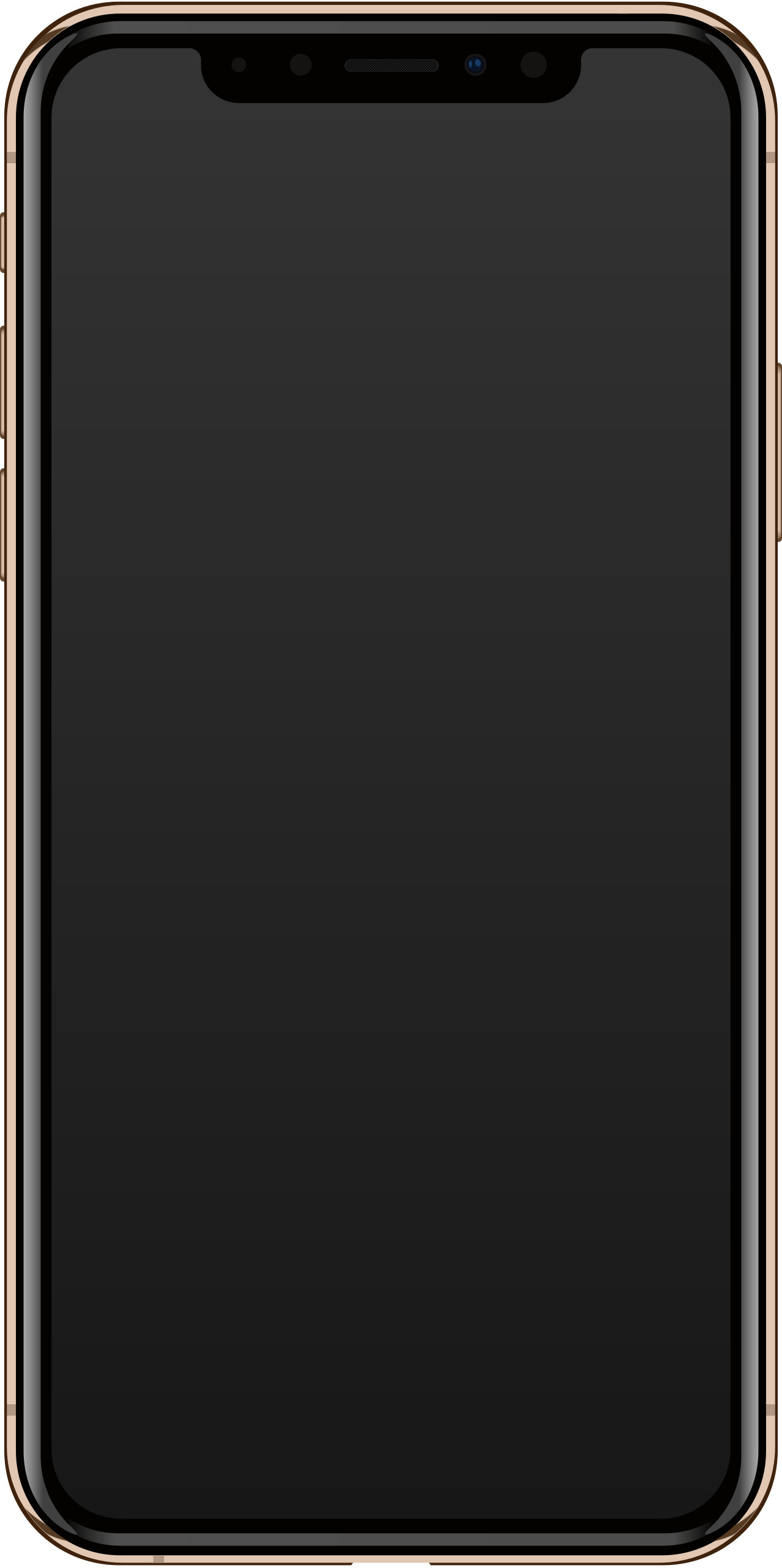 <span>iPhone XS</span>
