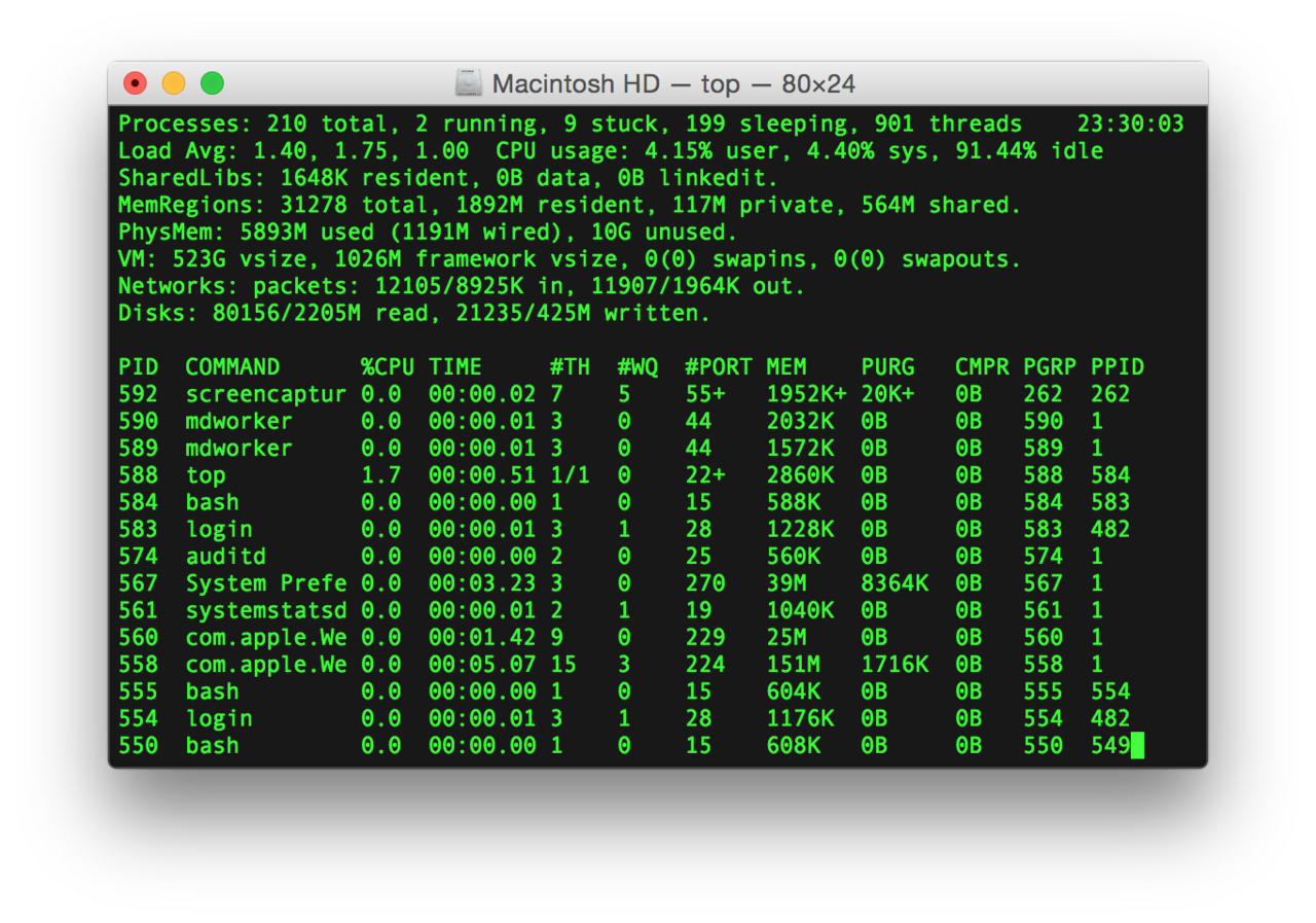 <span>Terminal</span>
