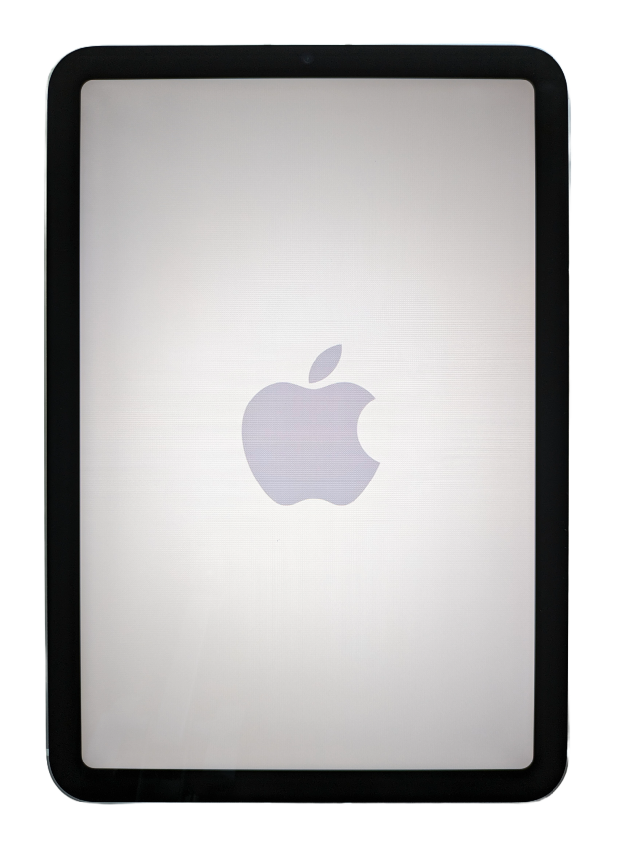 <span>iPad mini</span>
