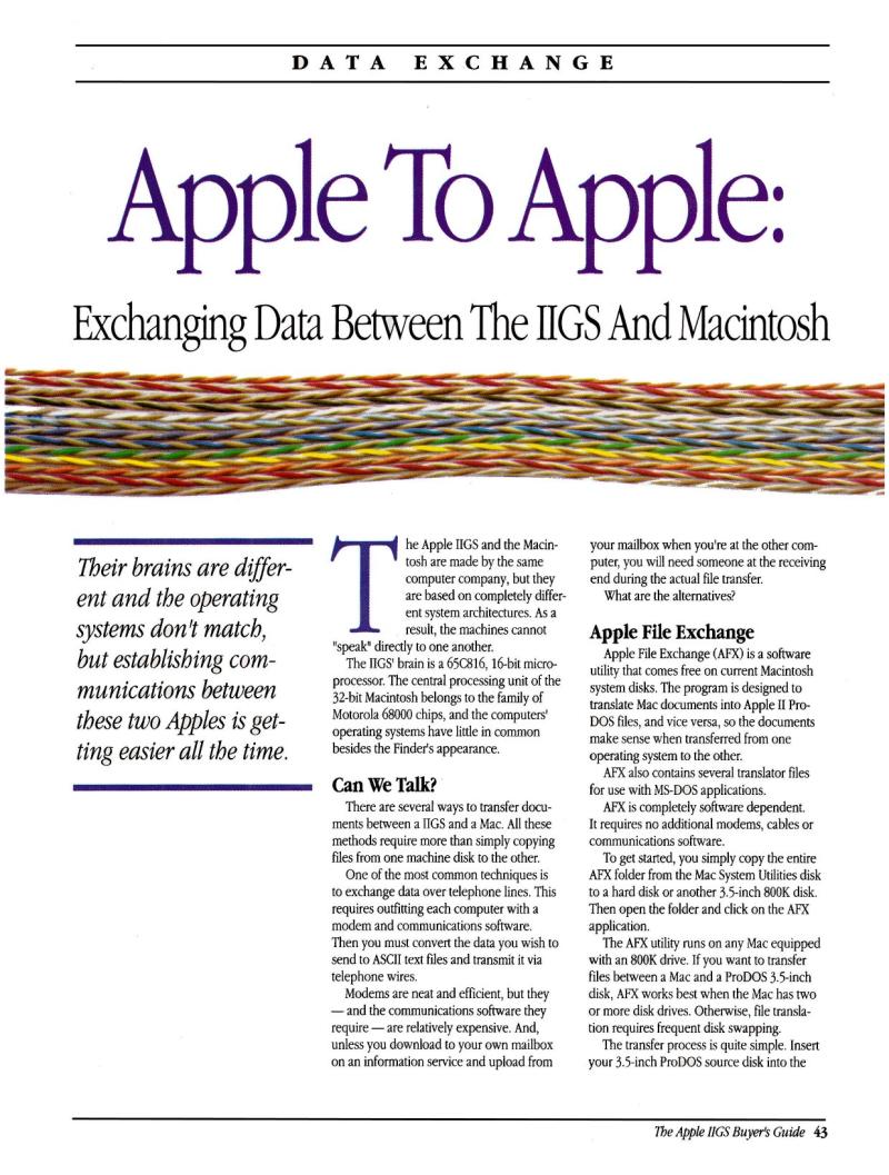 IIgs Buyers Guide 1989 Spring — page 45