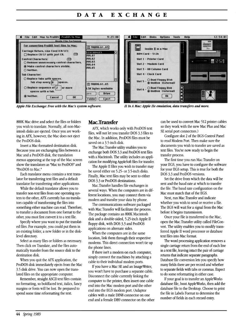 IIgs Buyers Guide 1989 Spring — page 46