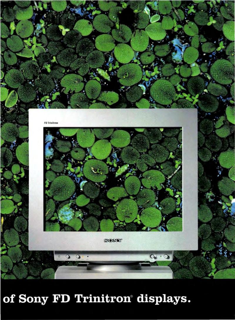 MacWorld9904April1999 — page 41